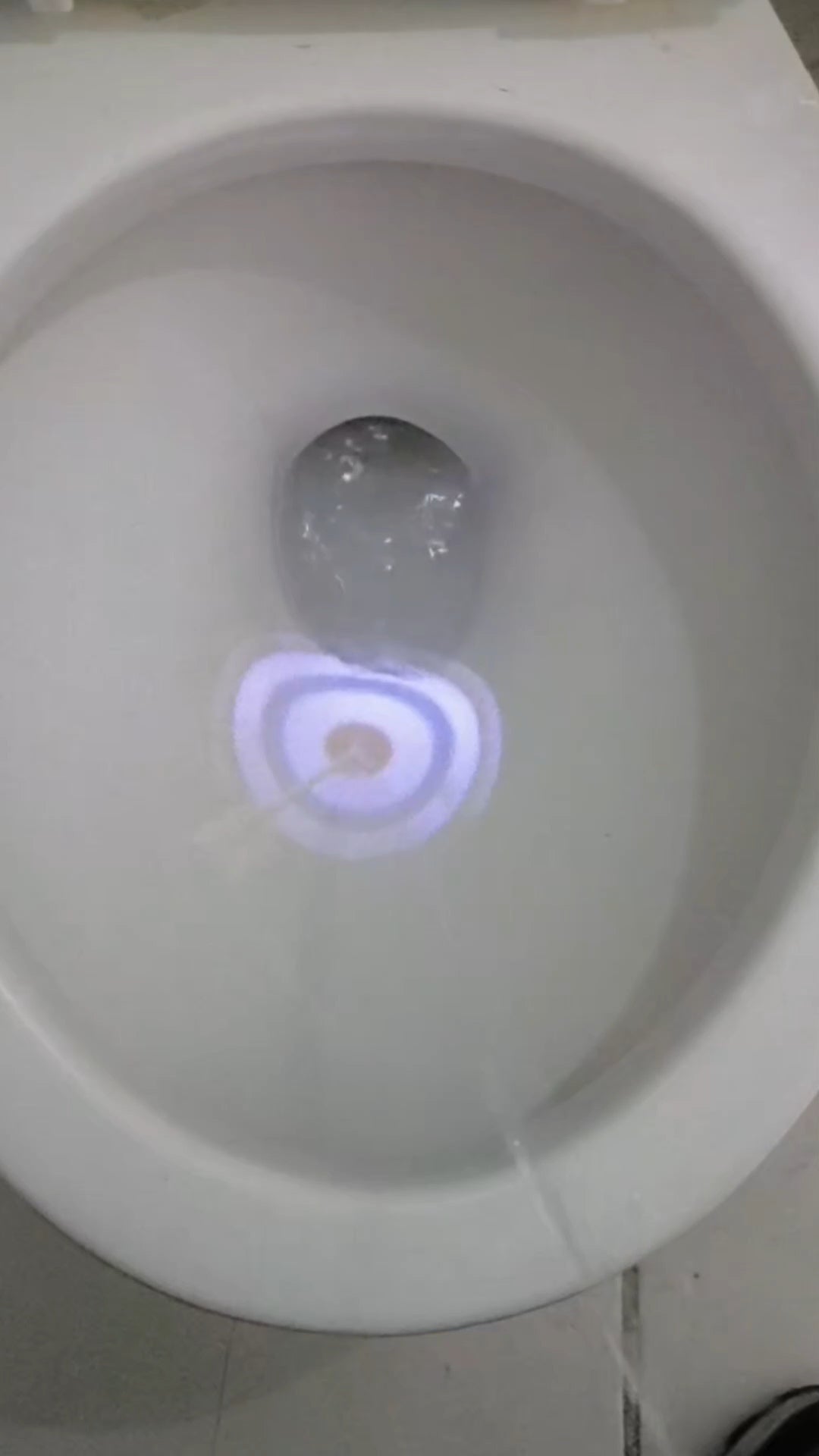 מקרן גמילה לשירותים