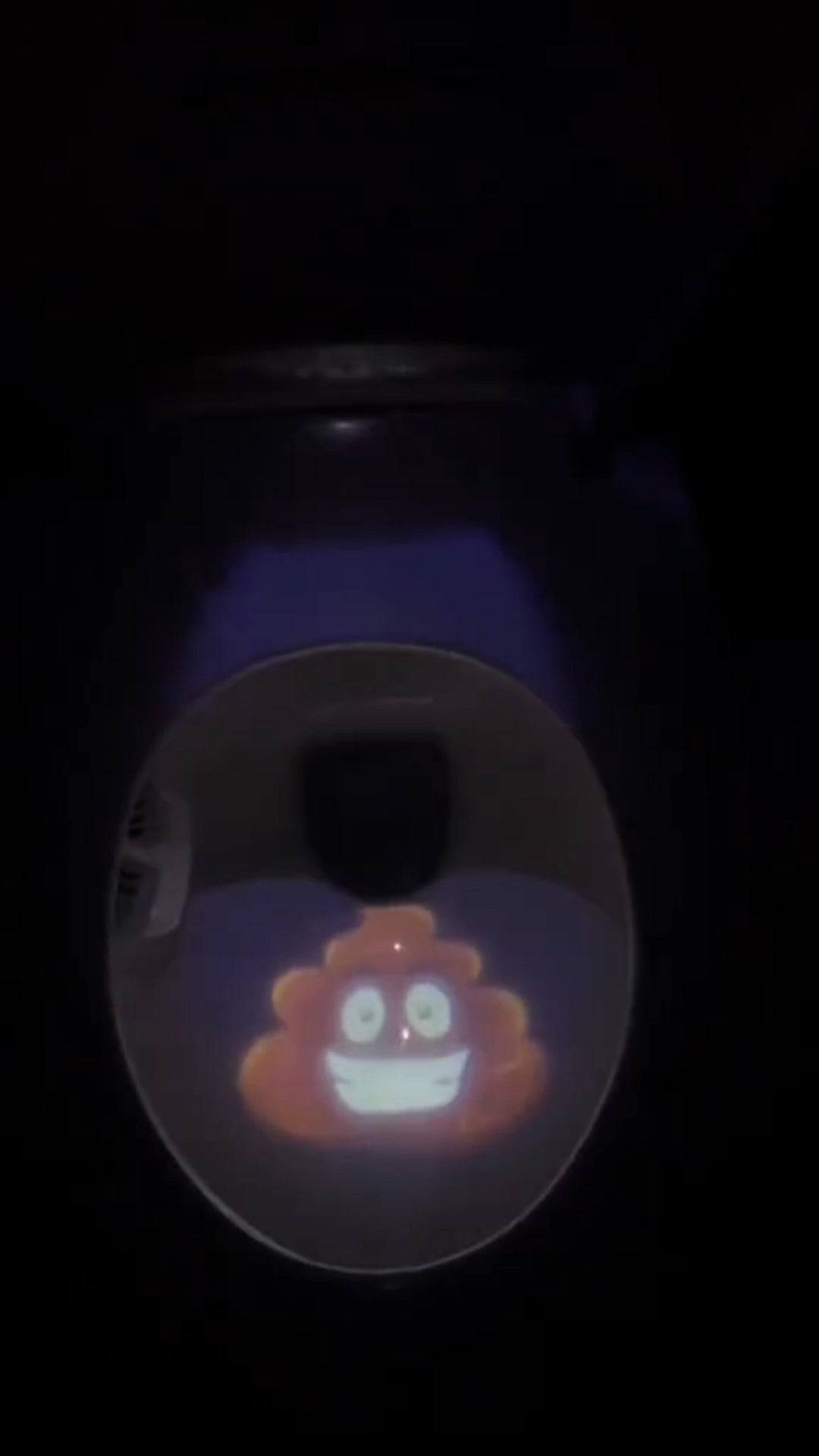 מקרן גמילה לשירותים